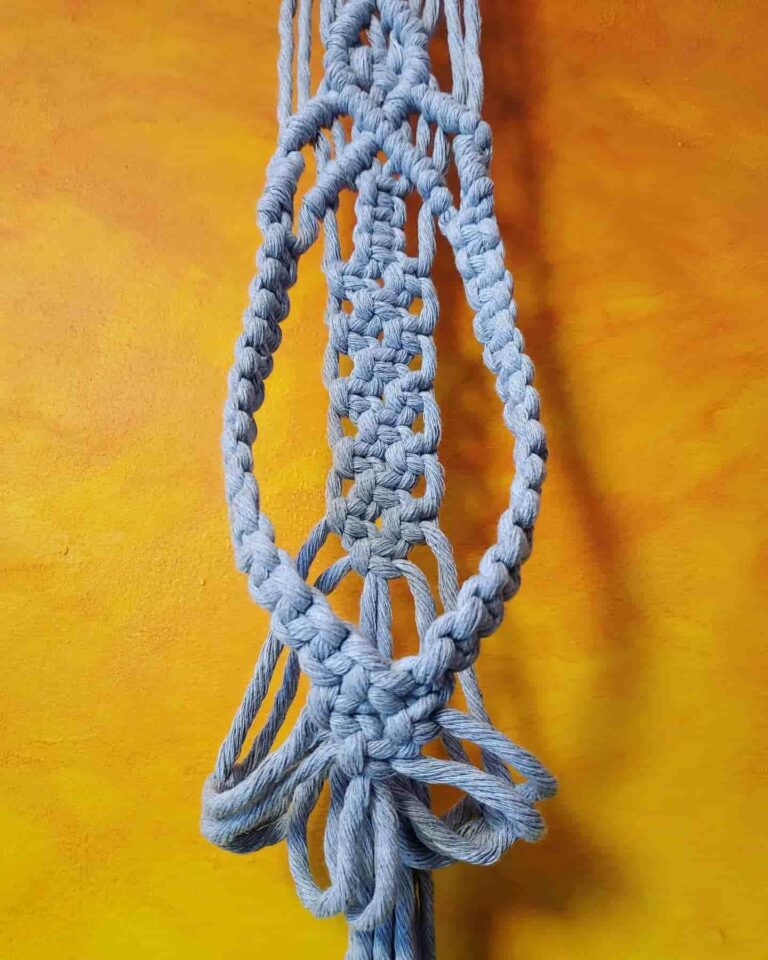 plant hanger tori`stale