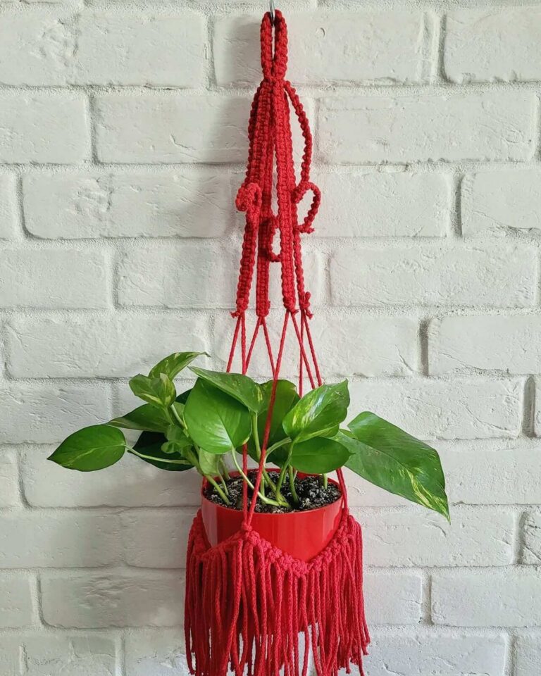 Red Plant Hanger Tori`sTale