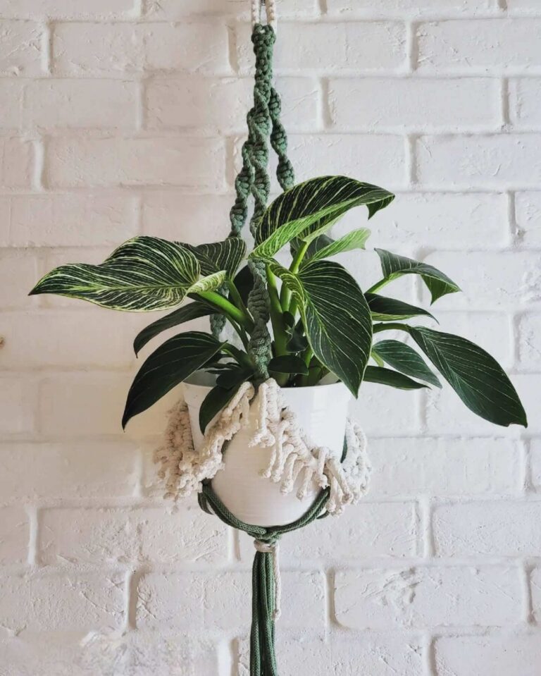 Sage & White Plant Hanger TorisTale