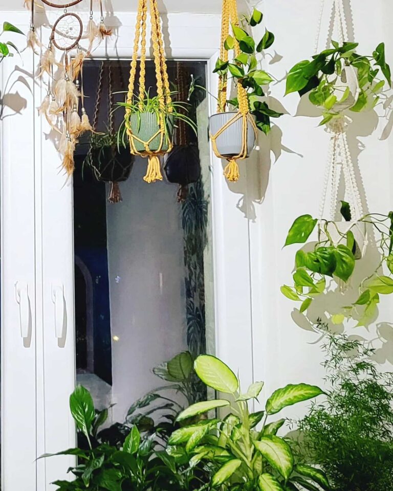 macrame plant hangers window tori`s tale