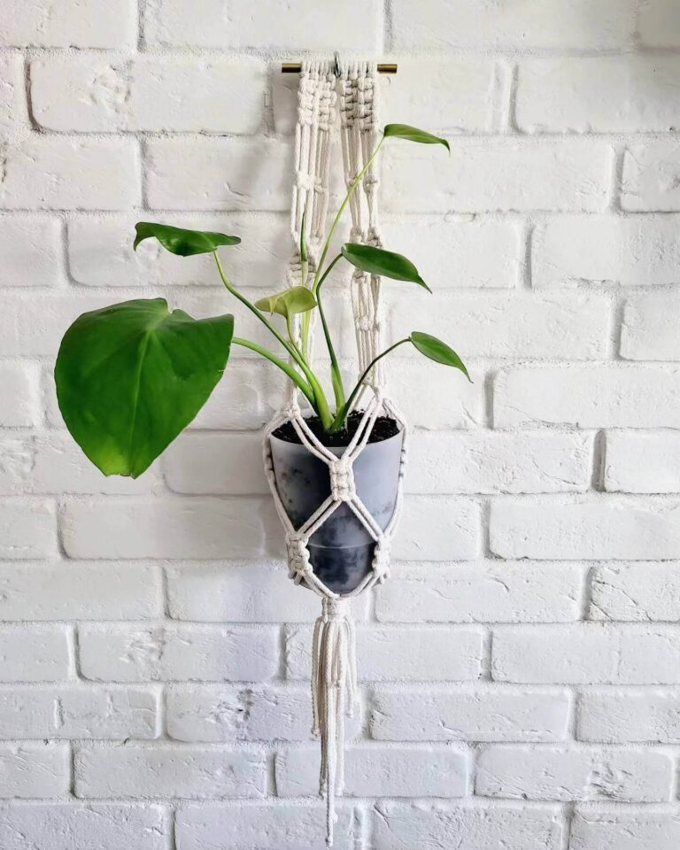 Ivory Macrame Wall Plant Hanger Tori`sTale