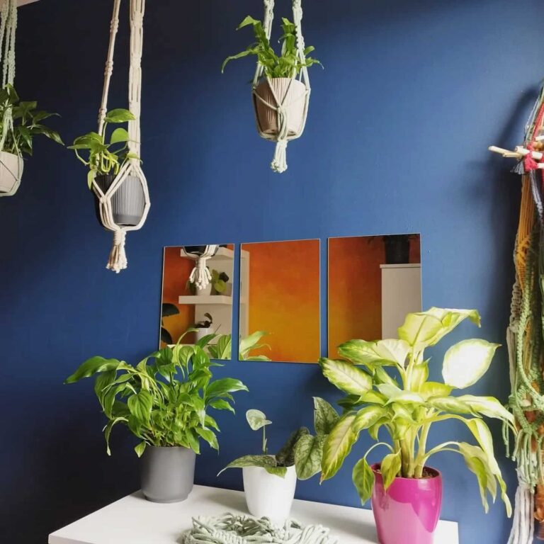 plant hangers tori`stale