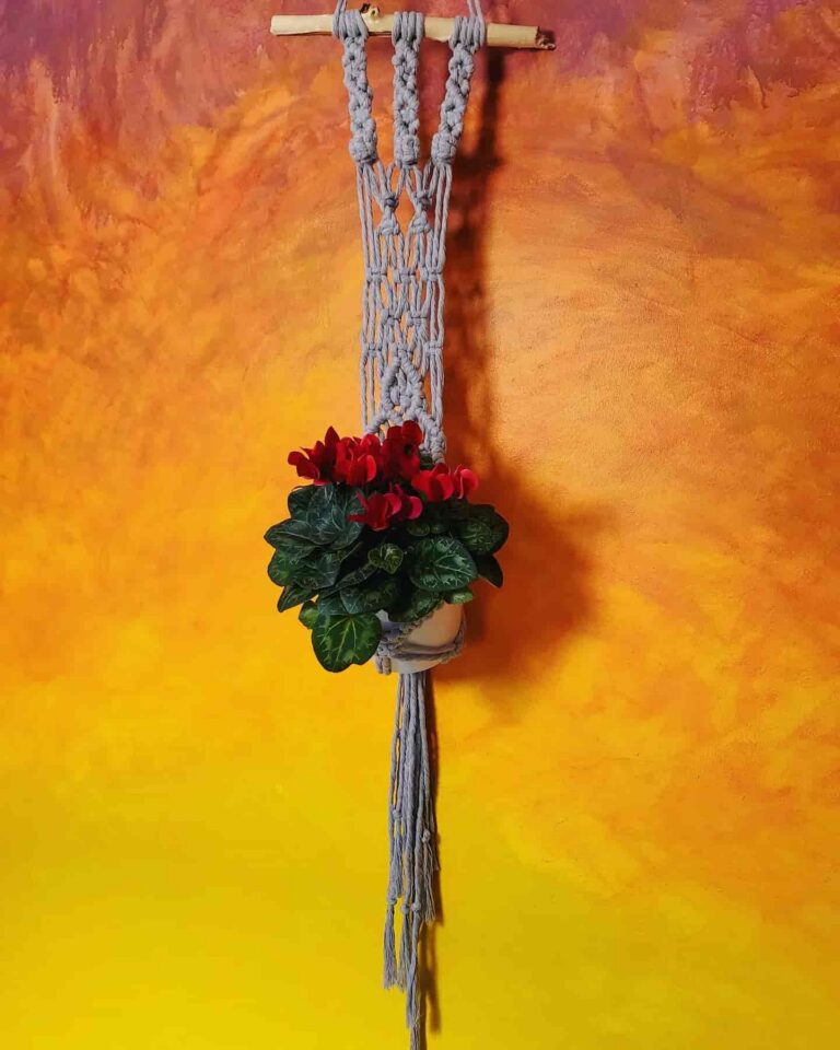 cyclamen plant hanger tori`stale