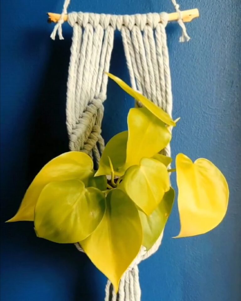 Grey Small Macrame Plant Hanger Tori`sTale