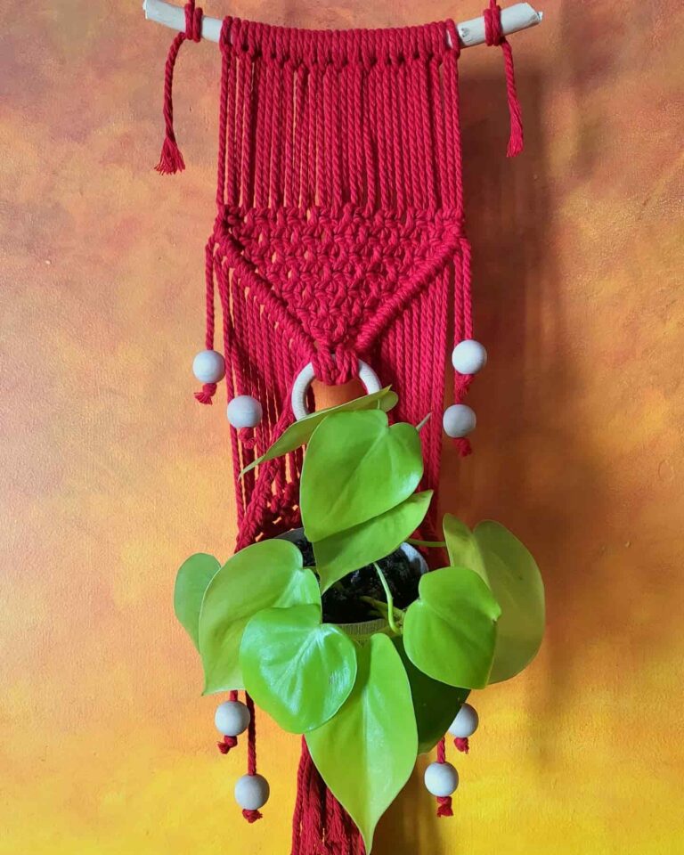 red plant hanger neon epipremnum wall holder tori`stale macrame