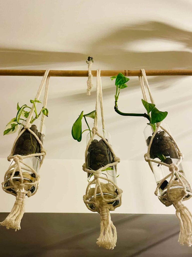 small macrame plant hangers tori`s tale