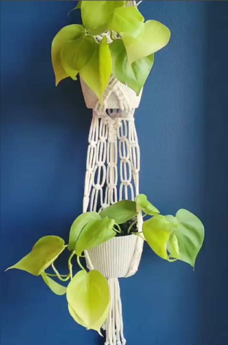 macrame double planthanger tori`s tale