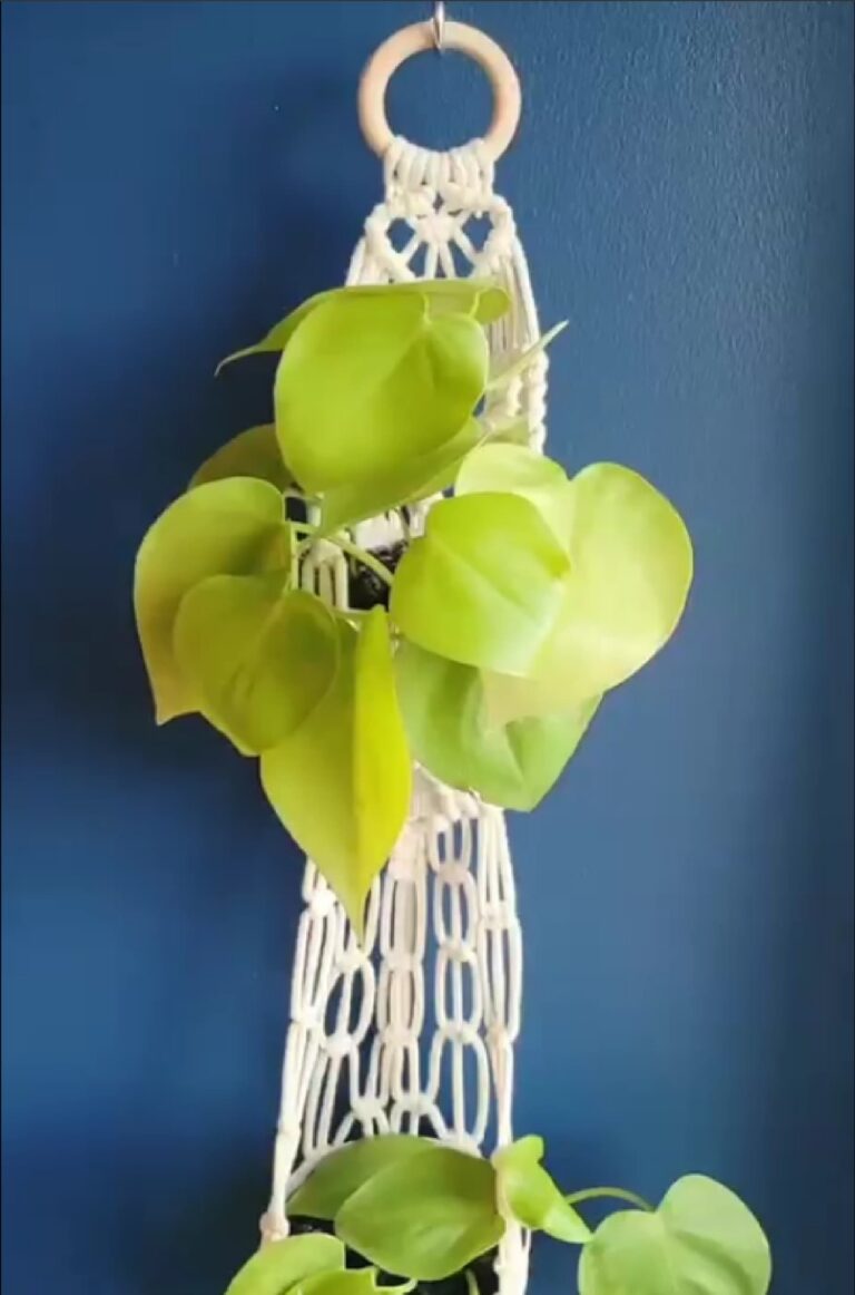 macrame double white plant hanger tori`s tale