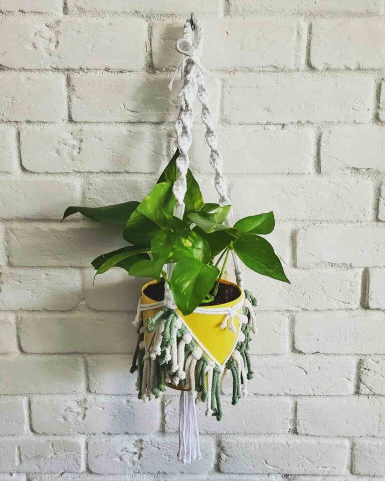 macrame plant lover pic tori`stale