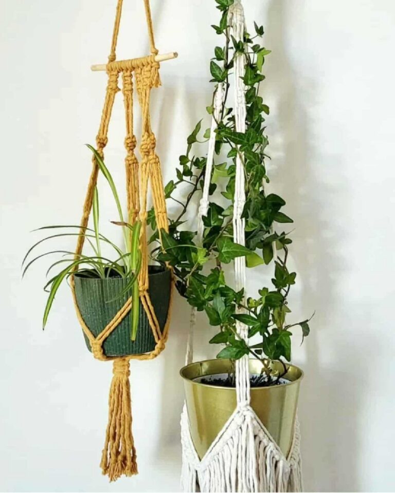 plant hangers old town design tori`stale macrame