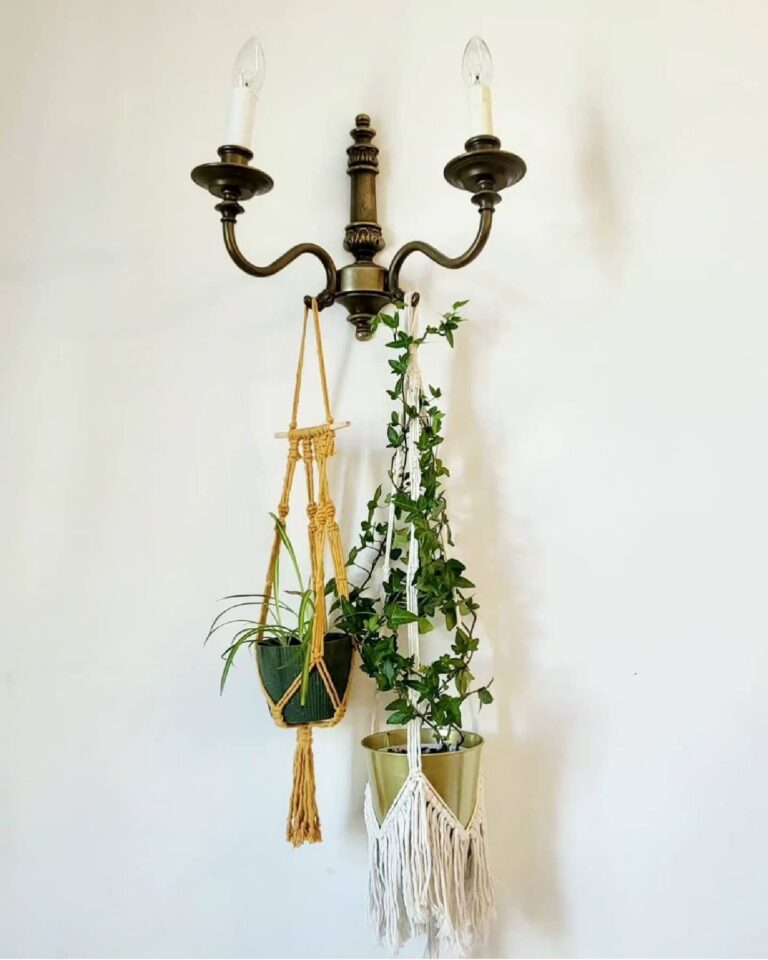 two plant hangers old town design tori`stale macrame