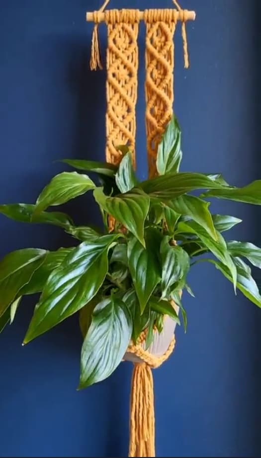 wall plant bed macrame tori`stale