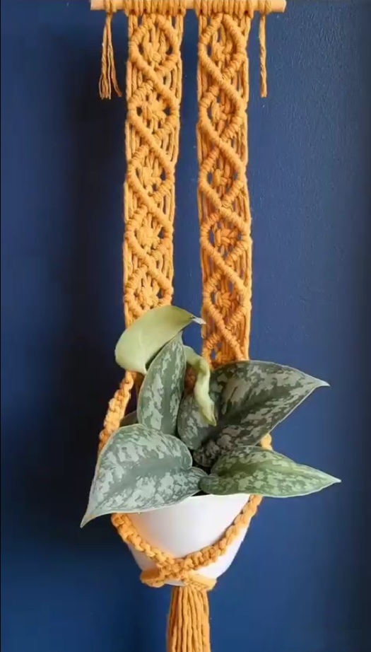 wall yellow plant hanger macrame tori`stale