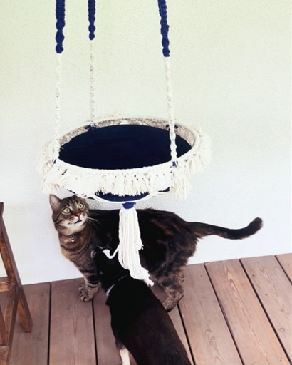 macrame cat bed pets hammock