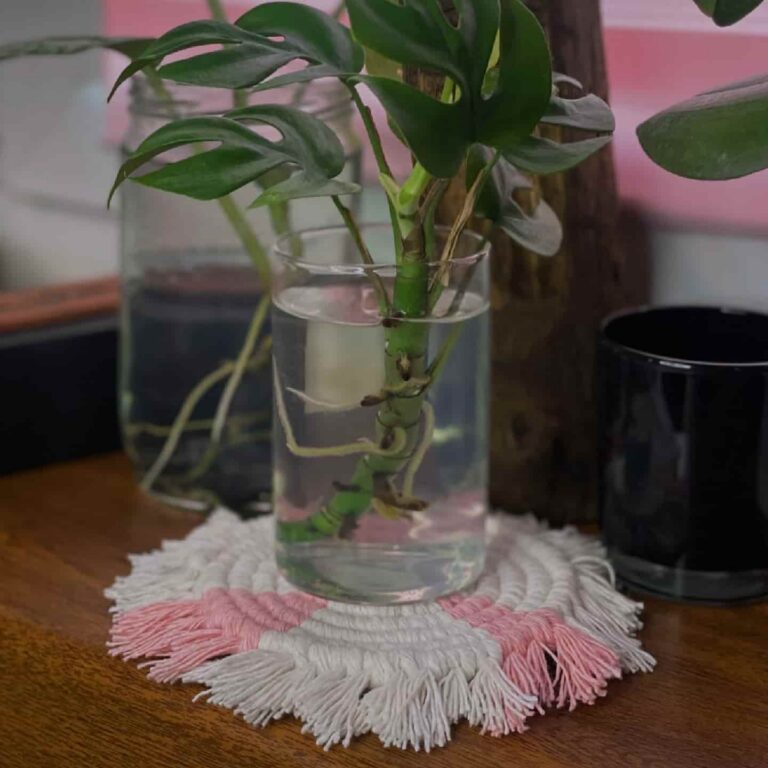 white and pink macrame coaster toris tale