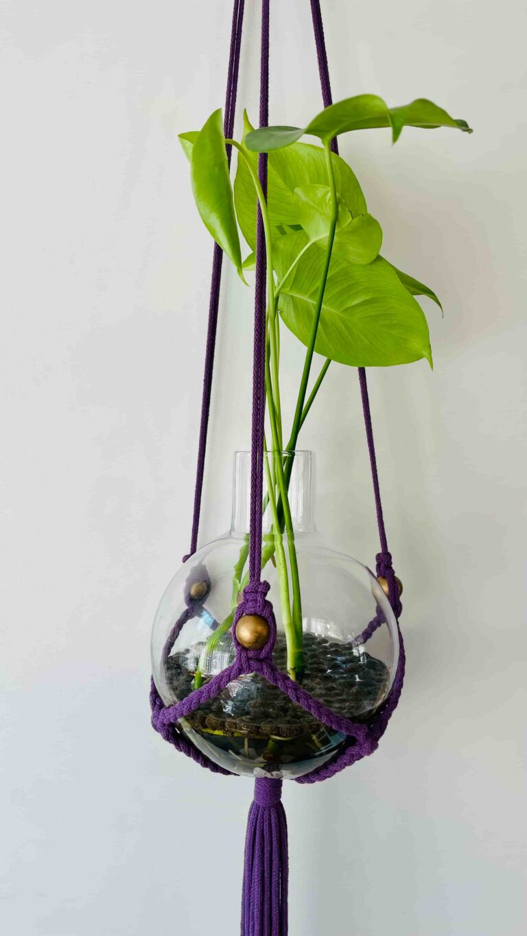 deep violet aura plant hanger wieszak na monstere toristale.jpg